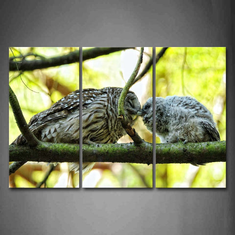 Two Owls Kiss On Green Branch Wall Art Painting Pictures Print On Canvas Animal The Picture For Home Modern Decoration 