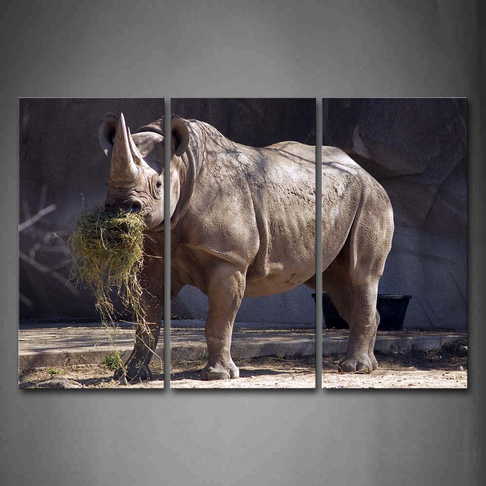 Rhino Stand On Floor Eat Grass  Wall Art Painting The Picture Print On Canvas Animal Pictures For Home Decor Decoration Gift 