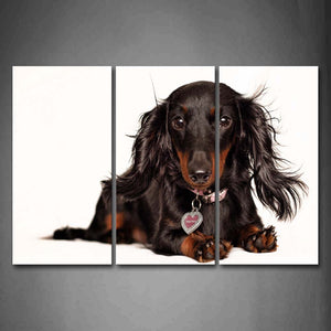 Black Dachshund Sit On Floor  Wall Art Painting Pictures Print On Canvas Animal The Picture For Home Modern Decoration 