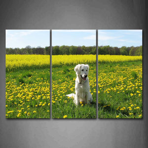 White Dog Sit On Grass With Yellow Flowers Wall Art Painting The Picture Print On Canvas Animal Pictures For Home Decor Decoration Gift 