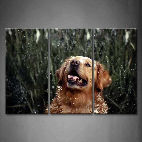 Yellow Dog Look With Mouth Open At Snowing Day Wall Art Painting Pictures Print On Canvas Animal The Picture For Home Modern Decoration 