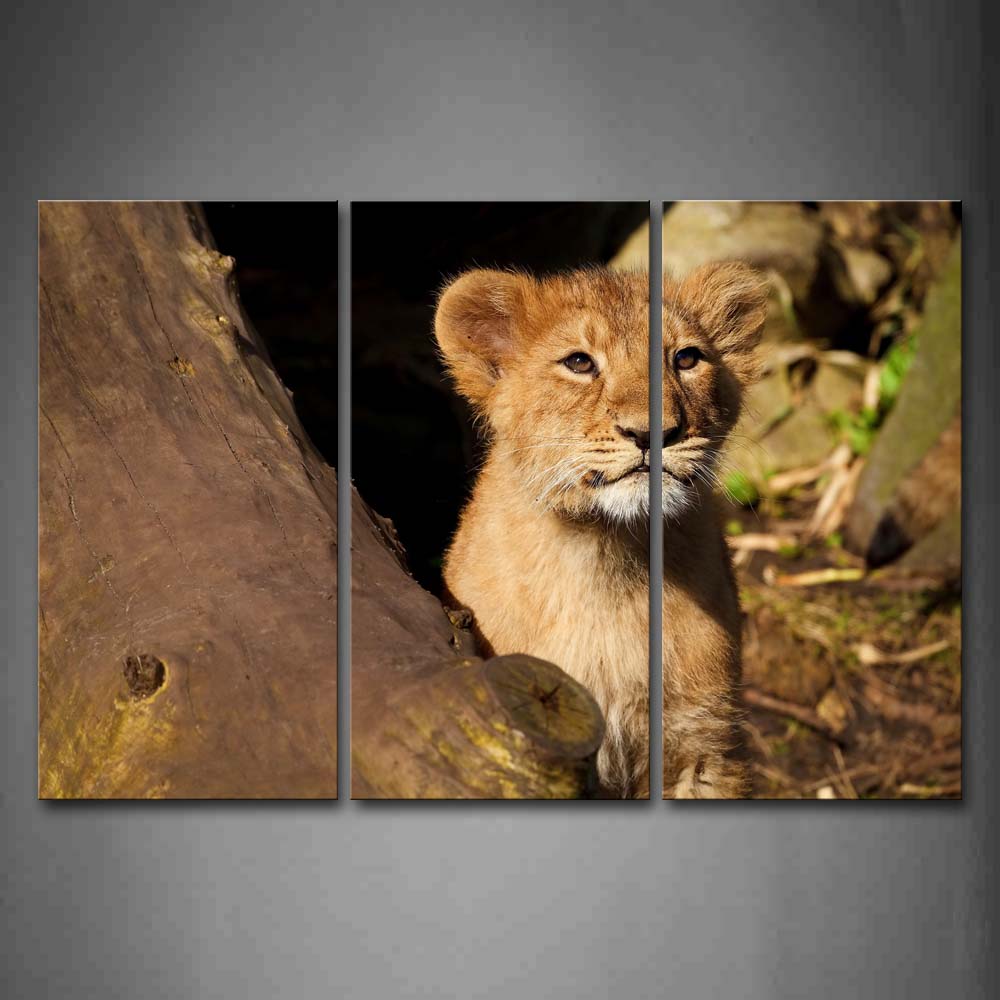 Little Lion Sit By Dry Wood Wall Art Painting The Picture Print On Canvas Animal Pictures For Home Decor Decoration Gift 