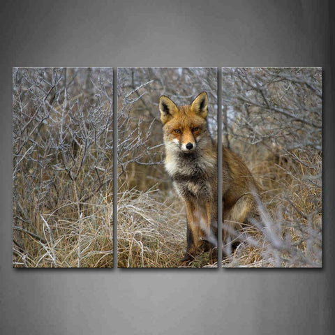 Yelllow Fox Stand On Forest Wall Art Painting The Picture Print On Canvas Animal Pictures For Home Decor Decoration Gift 