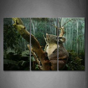 Koala Hug Tree In  The Forest Wall Art Painting Pictures Print On Canvas Animal The Picture For Home Modern Decoration 