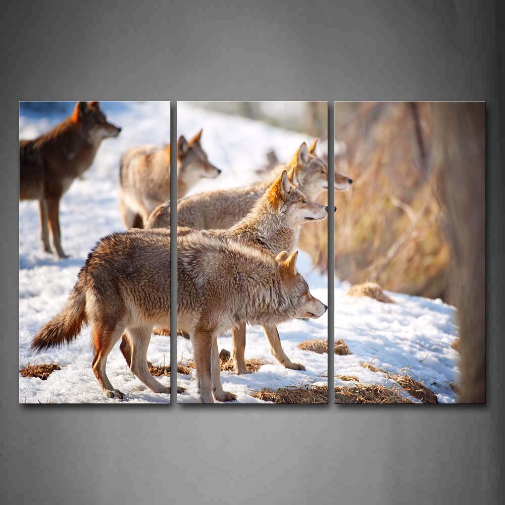 Five Wolves Stand On Snowfield  Wall Art Painting Pictures Print On Canvas Animal The Picture For Home Modern Decoration 