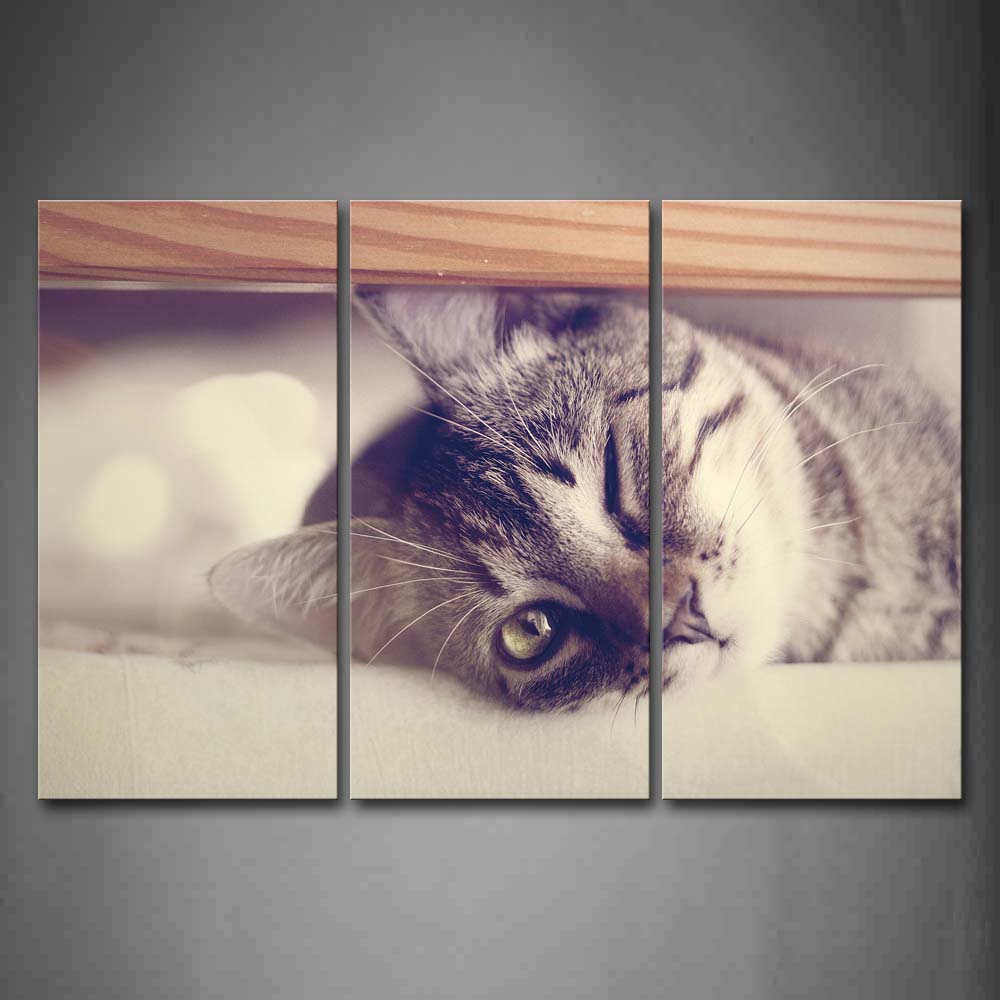 Gray Cat Lie Under Desk With One Eye Close Wall Art Painting The Picture Print On Canvas Animal Pictures For Home Decor Decoration Gift 