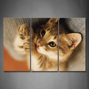 Cute Cat Lie On Sofa  Wall Art Painting Pictures Print On Canvas Animal The Picture For Home Modern Decoration 