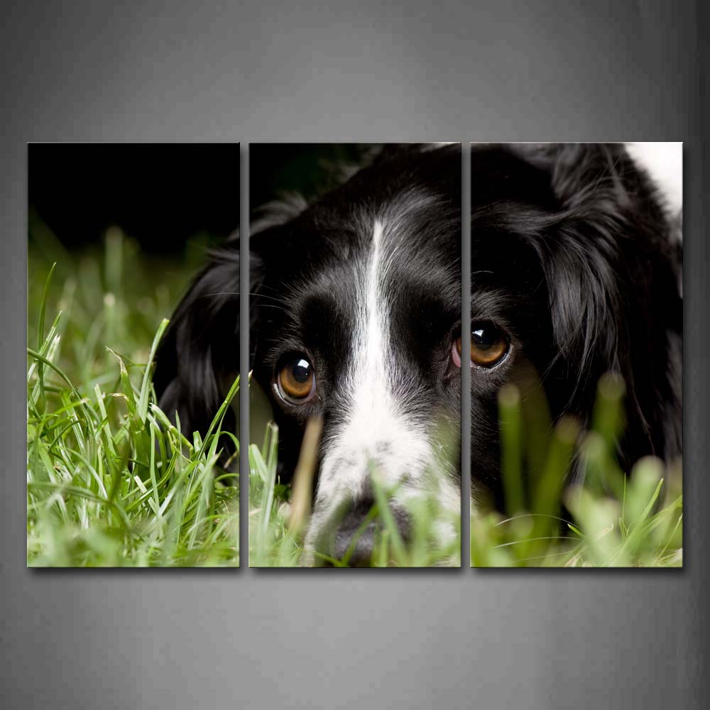 Black Dog Lie On Lawn  Wall Art Painting The Picture Print On Canvas Animal Pictures For Home Decor Decoration Gift 