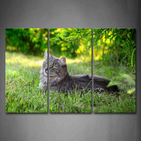 Gray Cat Lie On Grass Near Trees  Wall Art Painting The Picture Print On Canvas Animal Pictures For Home Decor Decoration Gift 