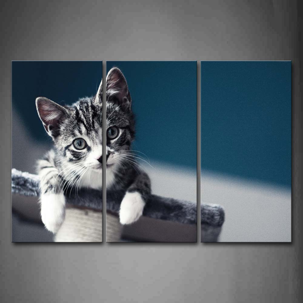 Cute Gray Cat Hang On Table  Wall Art Painting Pictures Print On Canvas Animal The Picture For Home Modern Decoration 