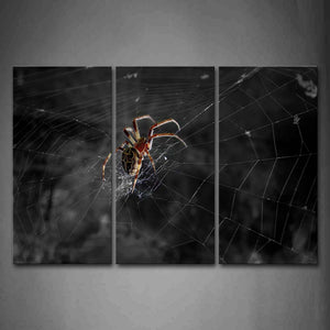 Spider Is Spinning A Big Web Wall Art Painting The Picture Print On Canvas Animal Pictures For Home Decor Decoration Gift 