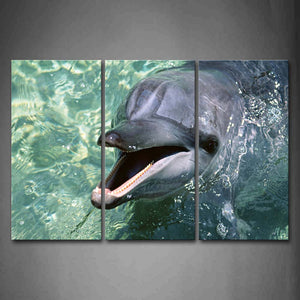 Dolphin Open Mouth In Water  Wall Art Painting Pictures Print On Canvas Animal The Picture For Home Modern Decoration 