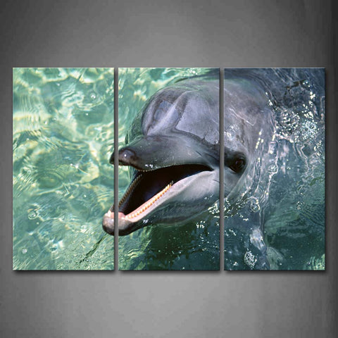 Dolphin Open Mouth In Water  Wall Art Painting Pictures Print On Canvas Animal The Picture For Home Modern Decoration 