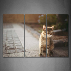 Yellow Cat Stand On Road  Wall Art Painting Pictures Print On Canvas Animal The Picture For Home Modern Decoration 