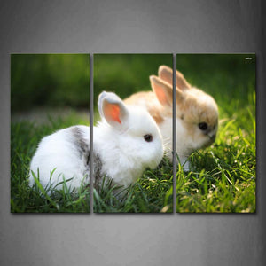 Two Cute Rabbits Sit On Grass Wall Art Painting Pictures Print On Canvas Animal The Picture For Home Modern Decoration 