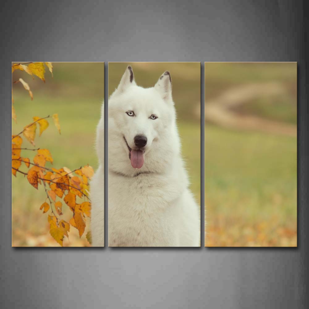 White Dog Sit Near Tree Sticking Out Tongue Wall Art Painting Pictures Print On Canvas Animal The Picture For Home Modern Decoration 