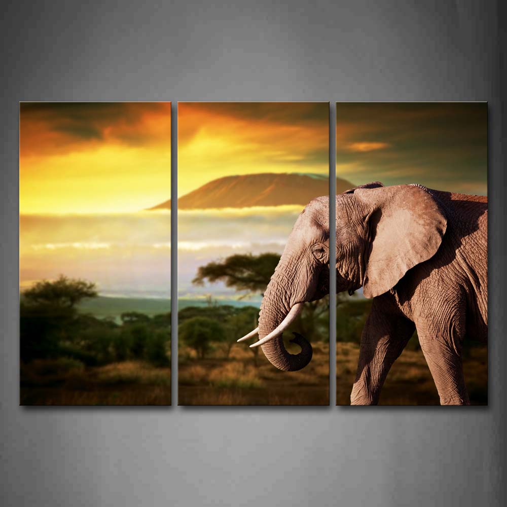 Brown Elephant At Seaside Near Trees And Mountain Wall Art Painting The Picture Print On Canvas Animal Pictures For Home Decor Decoration Gift 