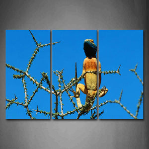 Blue Yellow Chameleon Stay In Branch Wall Art Painting The Picture Print On Canvas Animal Pictures For Home Decor Decoration Gift 