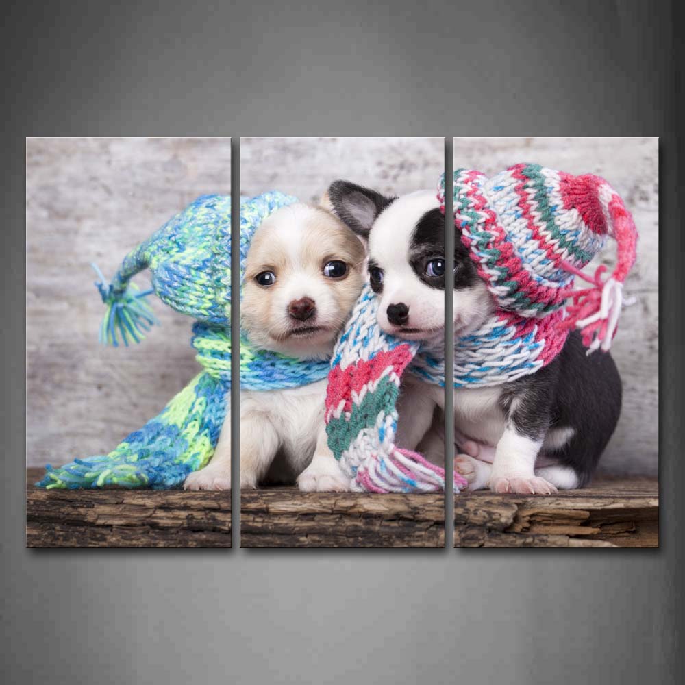 Two Cute Puppy Wear Hats And Scarves Wall Art Painting Pictures Print On Canvas Animal The Picture For Home Modern Decoration 