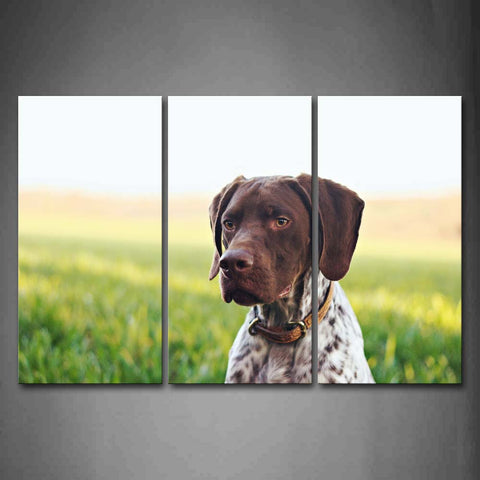 Brown Dog Stay On Grass And Flowers Wall Art Painting The Picture Print On Canvas Animal Pictures For Home Decor Decoration Gift 