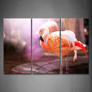 Brown Flamingo Stand On Stone Wall Art Painting The Picture Print On Canvas Animal Pictures For Home Decor Decoration Gift 