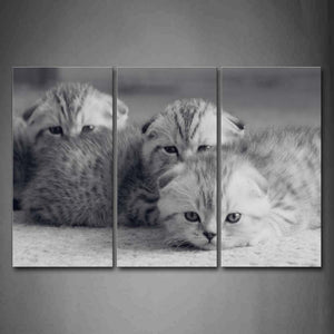 Black And White Three Cats Lie On Floor  Wall Art Painting The Picture Print On Canvas Animal Pictures For Home Decor Decoration Gift 