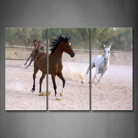 Two Brown Horses And A White Horses Run On Sand Wall Art Painting Pictures Print On Canvas Animal The Picture For Home Modern Decoration 