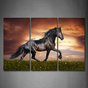 Black Horse Run On Lawn With Flowers Wall Art Painting The Picture Print On Canvas Animal Pictures For Home Decor Decoration Gift 
