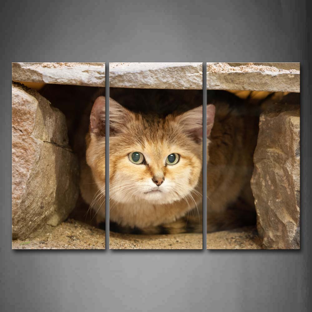 Sand Cat Lie Under Stones  Wall Art Painting Pictures Print On Canvas Animal The Picture For Home Modern Decoration 