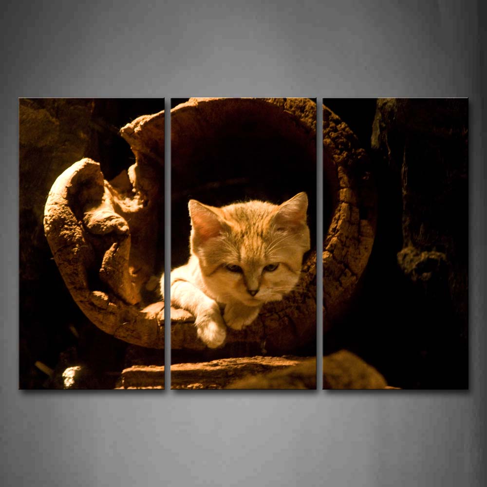 Sand Cat Stay In Wood  Wall Art Painting The Picture Print On Canvas Animal Pictures For Home Decor Decoration Gift 